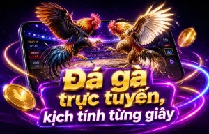 Giao diện sảnh đá gà tetrobrewworks